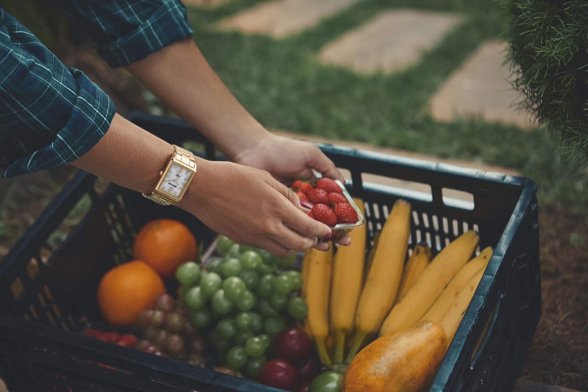 Frutose: Conheça as frutas que têm mais açúcar